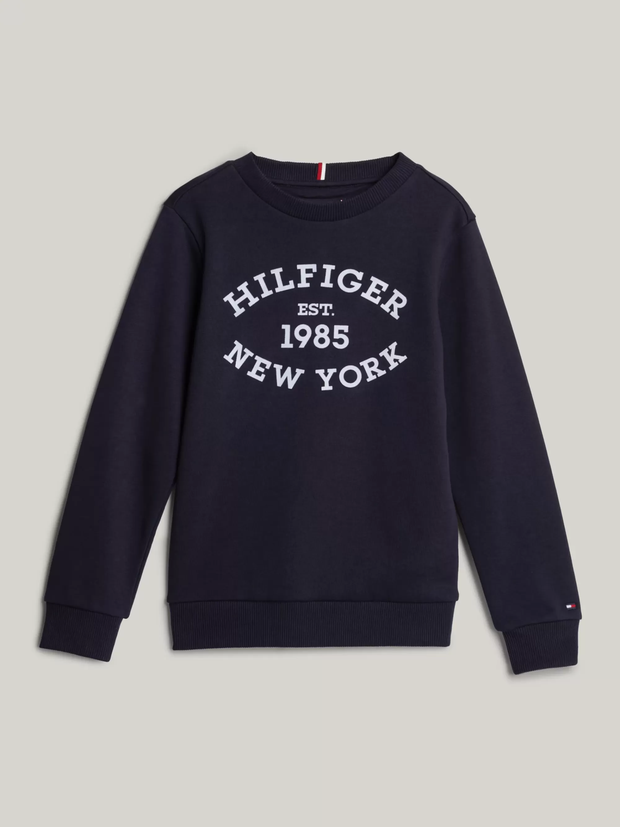 Sweatshirts & Hoodies*Tommy Hilfiger Hilfiger Monotype Sweatshirt Met Logo DESERT SKY