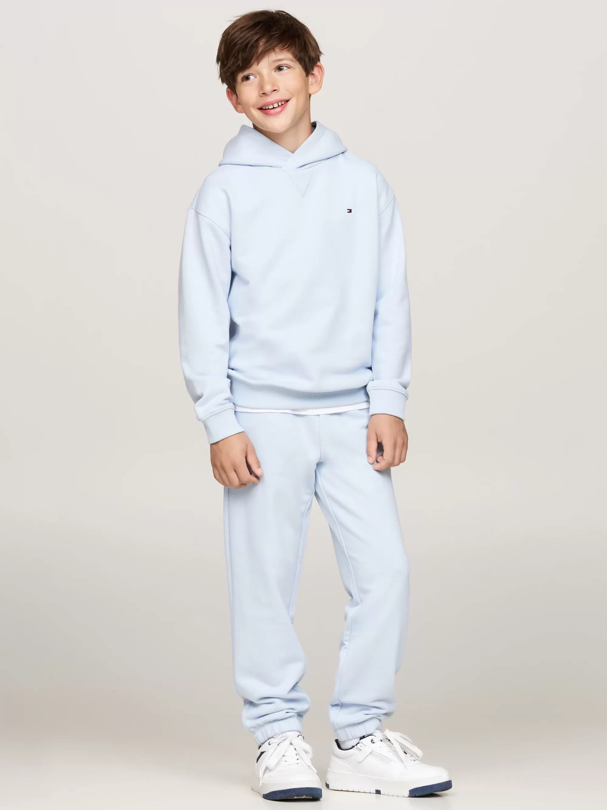 Sweatshirts & Hoodies | Sweatshirts & Hoodies*Tommy Hilfiger Hoodie Met Geborduurde Vlag BREEZY BLUE